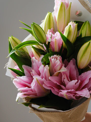 Farmstead Charm Collection